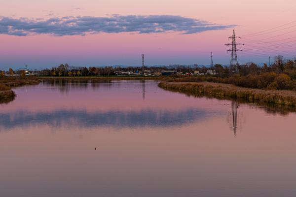 Environmental Practice Image