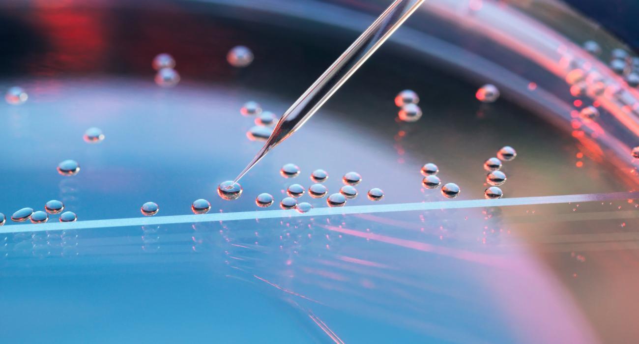 Longevity & Healthspan