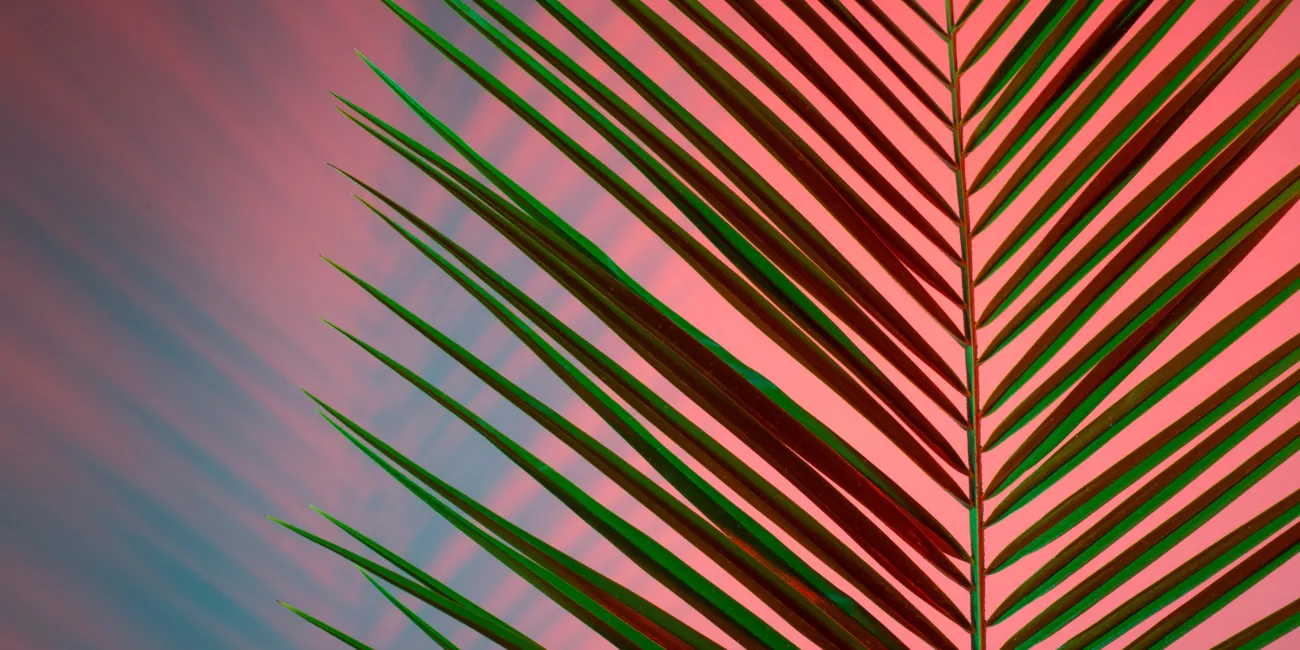 Environmental, Social & Governance (ESG) Practice Image